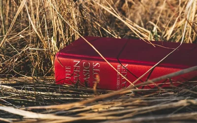 cape camino books