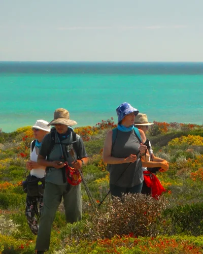 Pligrims doing cape camino