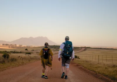 Route12: All Country routes camino