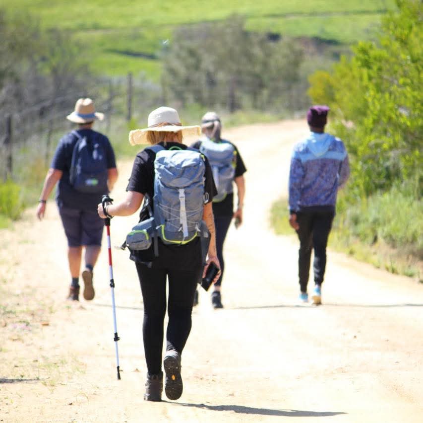 Pilgrims walking along a farm road in a group